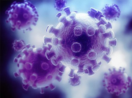 Gold Standard for HTLV-I/II Diagnosis